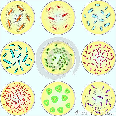 Stylized image of different types of bacteria Vector Illustration