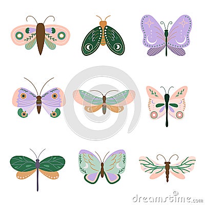 stylized kit with colorful ornate butterflies Vector Illustration