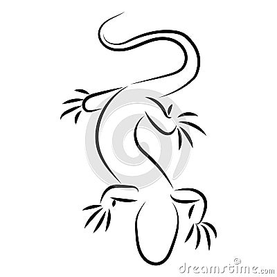 Stylized lizard. Black white reptile illustration. Vector logo lizards. Tattoo. Vector Illustration