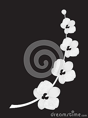 Stylized orchid Vector Illustration