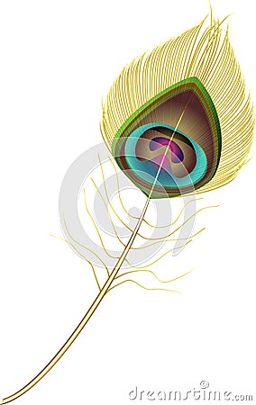 Stylized Peacock feather Stock Photo