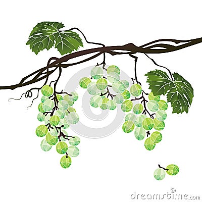 Stylized polygonal branch of green grapes Vector Illustration