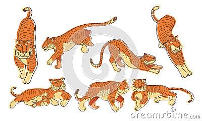 Stylized Tiger Animal in Different Poses Vector Set Vector Illustration