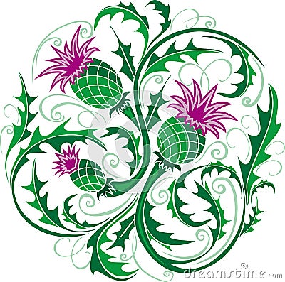 Stylized vector image of a thistle Vector Illustration