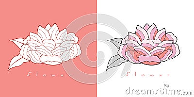 Stylized vintage retro flower. Natural style brand logo Vector Illustration