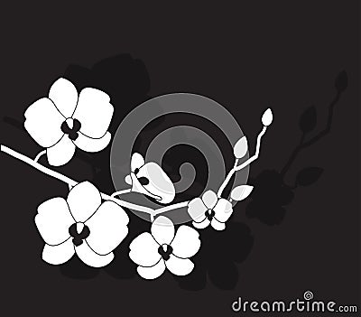 Stylized white orchid Vector Illustration