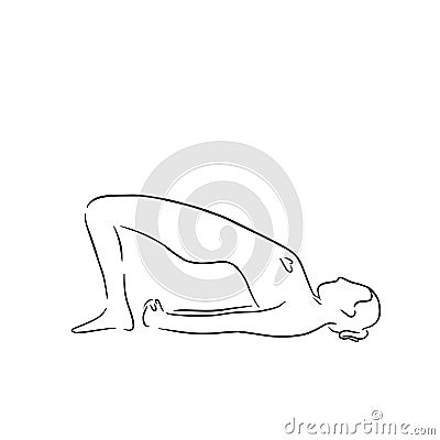Stylized woman in yoga bridge pose, setu bandha sarvangasana. Vector line art style illustration. Vector asana for Vector Illustration