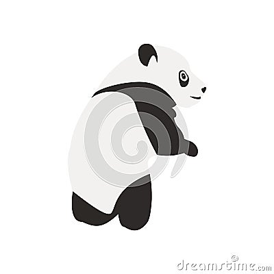 Stylized young very cute panda full body, vector Vector Illustration