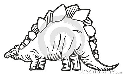 Styracosaurus dinosaur - hand drawn vector illustrationStegosaurus dinosaur - hand drawn vector illustration - Out line Cartoon Illustration