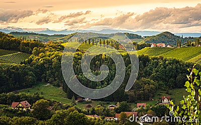 Styrian Tuscany Vineyard in autumn near Eckberg, Gamliz, Styria, Austria Stock Photo