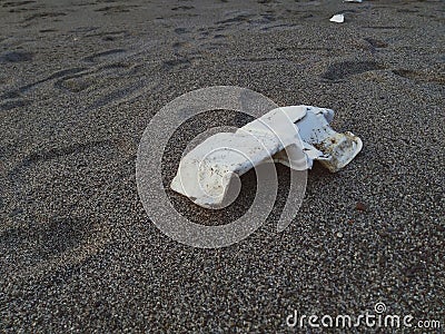 A Styrofoam box on beach sand, pollution waste on beach, garbage on shore in Mataram, Indonesia Stock Photo