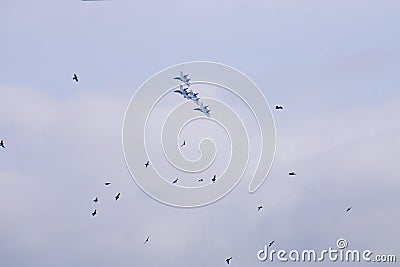 Su-35 of the Falcons of Russia four aircraft group Editorial Stock Photo