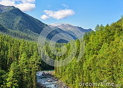 Subalpine coniferous taiga in Siberian mountains Stock Photo