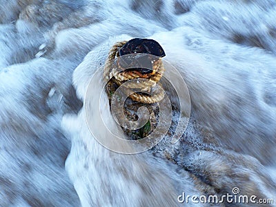 Subject in water. Stock Photo