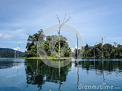 Submerged dead forest and island at Khao Sok Stock Photo
