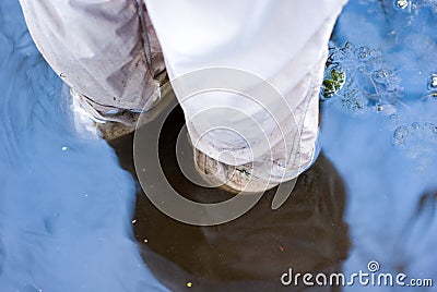 Submerged Feet Stock Photo