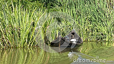 Half submerged fishermens boat in Danube delta Stock Photo