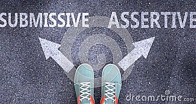 Submissive and assertive as different choices in life - pictured as words Submissive, assertive on a road to symbolize making Cartoon Illustration