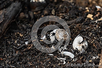 Subsistence farmers burn small plots of forest. Stock Photo