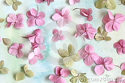 Subtle artistic floral backgrodund with hortensia flowers Stock Photo