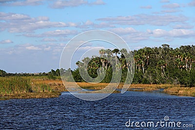 Subtropical Everglades Landcape Stock Photo
