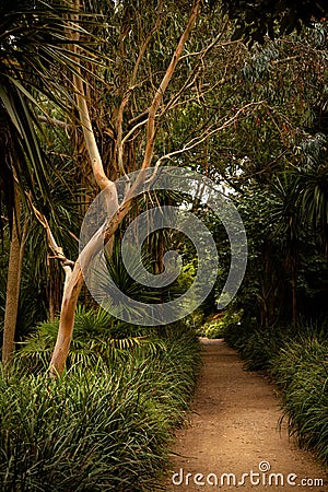 Subtropical Gardens of Abbotsbury Stock Photo