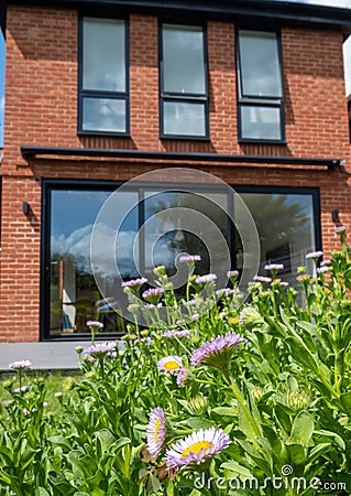 New build red brick extension and three tall windows. Rock garden with Mexican daisies, Erigeron Karvinskianus in the foreground. Stock Photo