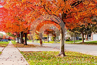 Suburban Neighborhood Sidewalk and Street in Autumn looking Downhill Stock Photo