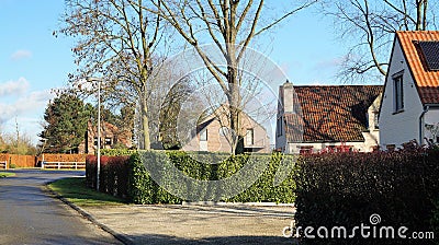 Suburban residential street with houses in Belgium Stock Photo