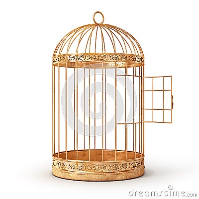 Success concept. Open bird`s cell isolation on a white background. Cartoon Illustration