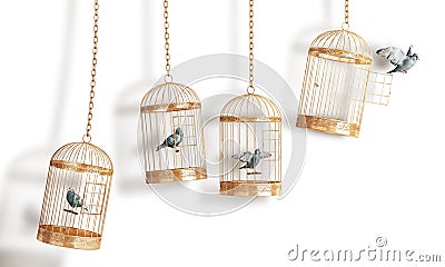 Success concept. Open bird`s cell isolation on a white background Cartoon Illustration