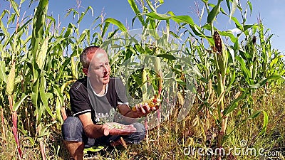 Successful Agriculturist in Front of His Corn Field Stock Video - Video ...