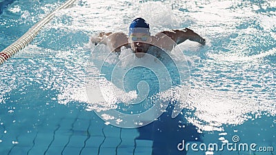 Successful Male Swimmer Racing, Swimming in Swimming Pool. Professional Athlete Determined to Win Stock Photo