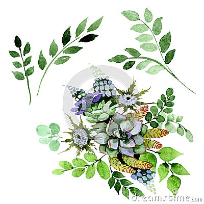 Succulent bouquet floral botanical flowers. Watercolor background illustration set. Isolated succulents element. Cartoon Illustration