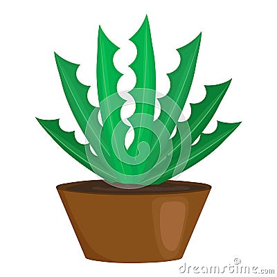 Succulent cactus houseplant icon, cartoon style Vector Illustration