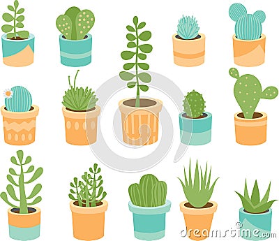 Succulent mix Vector Illustration