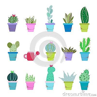 Succulent plant and cactus pots vector illustration background Vector Illustration