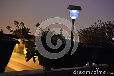 Succulent Plants Blossom, Home Balcony, Flowers and Lighted Garden Lamp, Night Scene Stock Photo