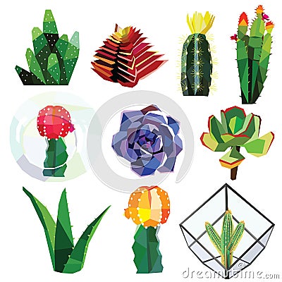 Succulent set Vector Illustration