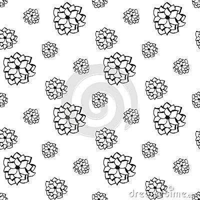 Succulents black and white vector seamless pattern Stock Photo