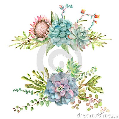 Succulents bouquet watercolor Stock Photo