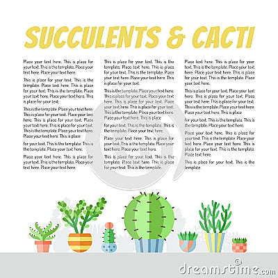 Succulents and cacti flat style multicolored vector backgrounds with place for your text. Minimalistic design. Part one. Vector Illustration