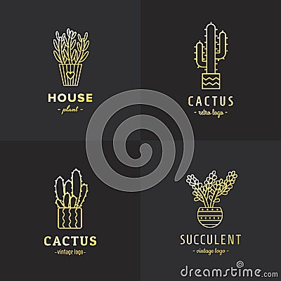 Succulents and cacti gold vector set. Part one. Vector Illustration