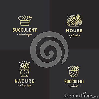 Succulents and cacti gold vector set. Part three. Vector Illustration