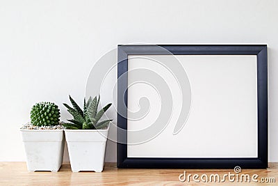 Succulents or cactus in concrete pots over white background on the shelf and mock up frame photo Stock Photo