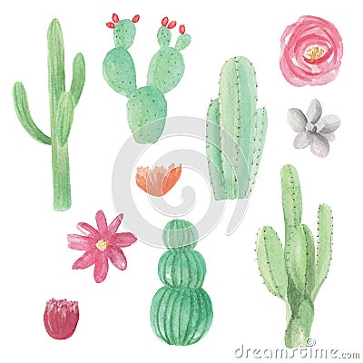 Succulents Cactus Hand Painted Watercolor Cacti Elements Stock Photo