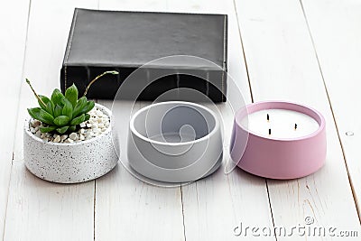 Succulents in concrete pots. Indoor cacti, indoor plants. Fashion trends in design Stock Photo