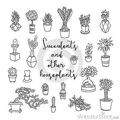 Succulents and other houseplants. Vector Illustration