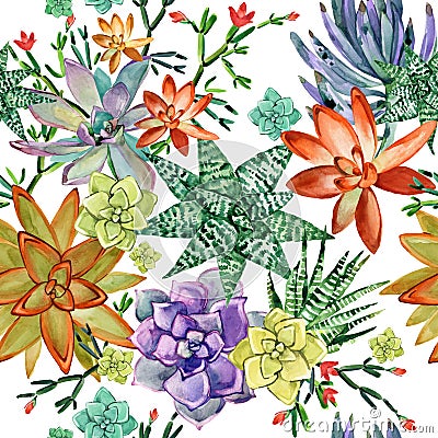 Succulents seamless pattern. cactus plants watercolor illustration Cartoon Illustration