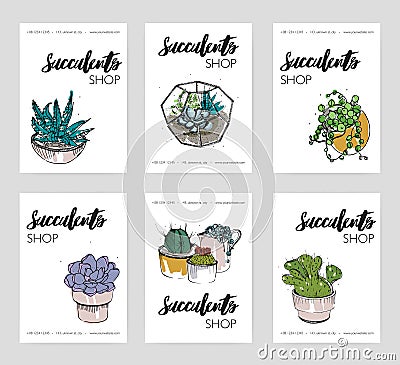 Succulents shop advertising cards collection. Colorful domestic plants store flyer set. Vector illustration on white Vector Illustration